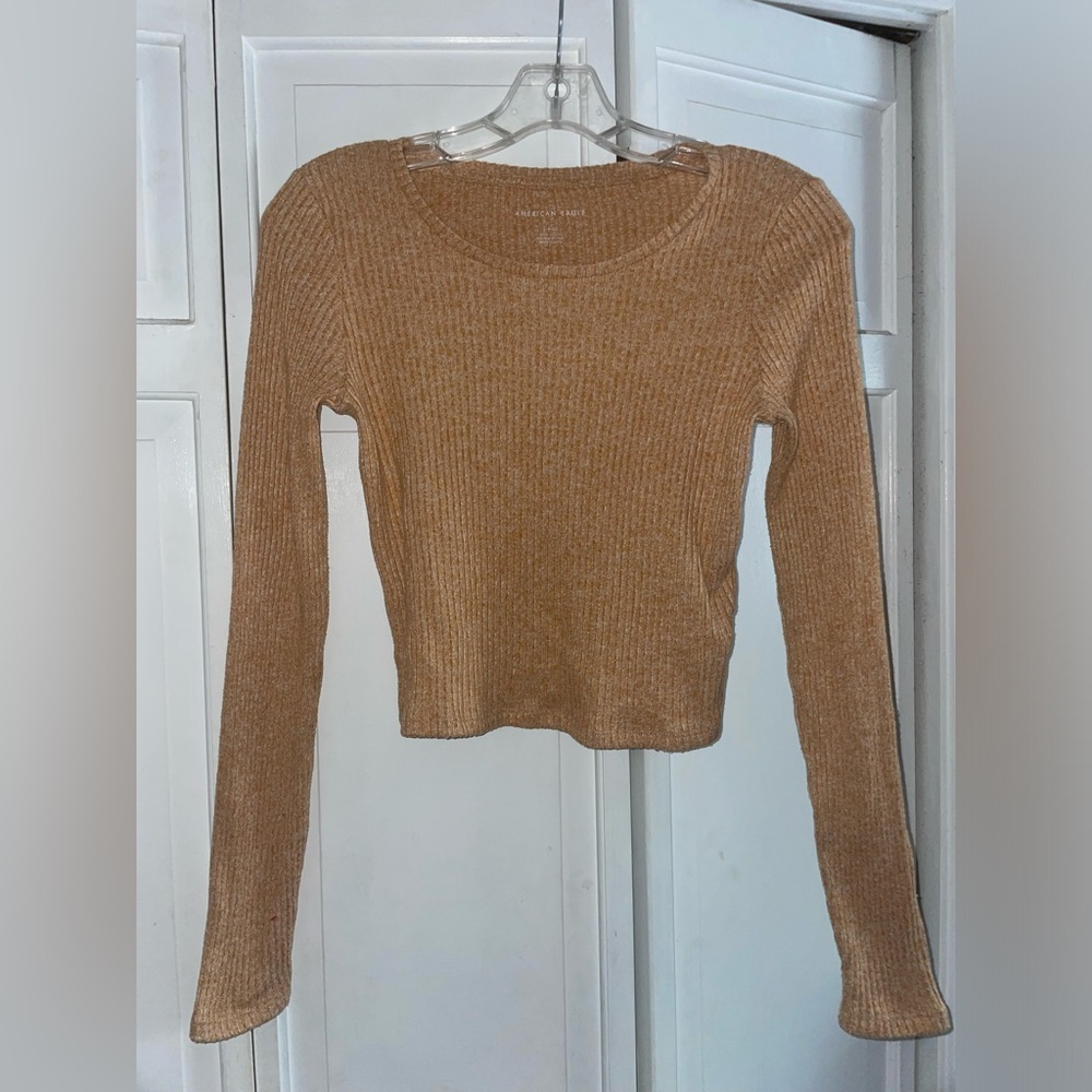 Cropped long sleeve from American Eagle!